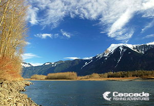 The Fraser River and Snow Capped Mountains