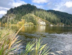 Cascade Fishing Adventures 2024 - River