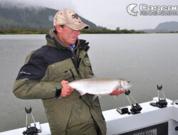 Cascade fishing adventures catches coho salmon