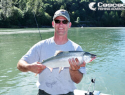 Catching pink salmon from our boat