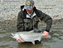 Chinook fishing in the Fraser River