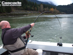 Fighting a Big Sturgeon