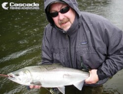 Fly fishing for coho salmon