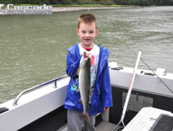 I caught a lovely pink salmon