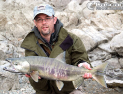 Spinning for chum salmon