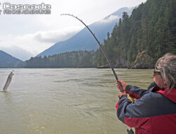 Sue Fishing for white sturgeon on Fraser river