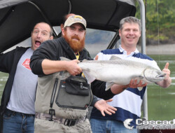 There is noting like catching Chinook