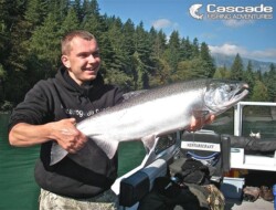 What a catch a huge coho salmon