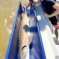 Cascade Fishing Adventures - Spring Report