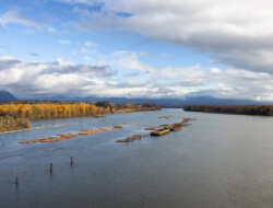 Cascade Fishing Adventures - Fraser River
