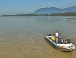 Cascade Fishing Adventures - Fraser River