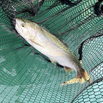 Cascade Fishing Adventures - Cavelion 126 - Testimonial