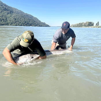 Cascade Fishing Adventures - Elizabeth Burnett - Testimonial