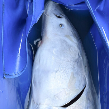 Cascade Fishing Adventures - John Vander Ploeg - Testimonial