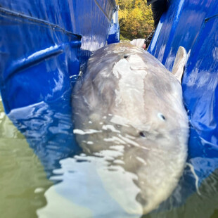 Cascade Fishing Adventures - End of Season 2025