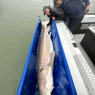 Cascade Fishing Adventures - End of Season 2025